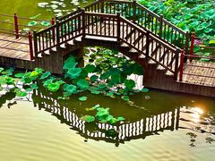 -珠海圆明新园