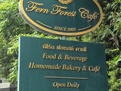 -Fern Forest Cafe