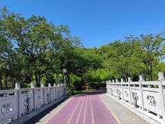 -尚贤河湿地