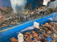 -鸿运美食府