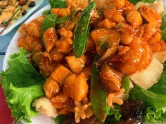 八珍豆腐-清真鸿起来饭庄(复兴路店)