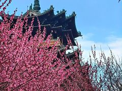 -杭州半山国家森林公园