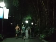-晓港公园