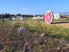 -漩门湾国家湿地公园