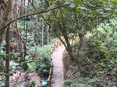 -广州市流溪河国家森林公园