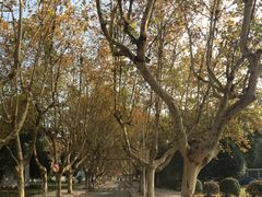 -江苏科技大学(梦溪校区)