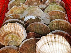 -马王堆海鲜水产市场