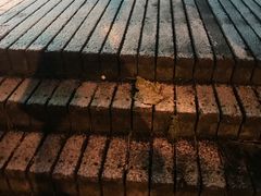 -LONG BAR 廊吧(外滩华尔道夫酒店)