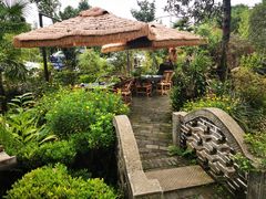 -青城甲(青城山店)