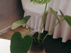 -眉州东坡(通州店)