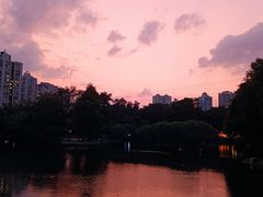 -晓港公园