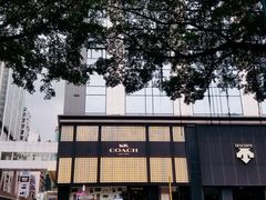 -九龙公园