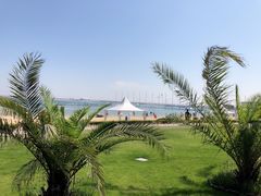 -碧海金沙