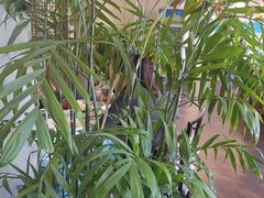 -山海经·海边人家 海鲜新青岛菜(扬州路店)