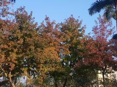 -瑞幸咖啡(北理工珠海学院店)