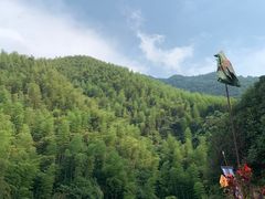 -将军关探险漂流