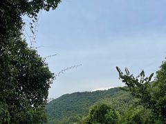 -杭州灵山景区