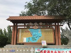 -白洋淀景区