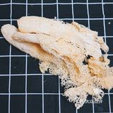 日常煲汤💫营养美味的竹荪老鸭汤