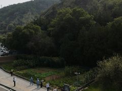 -延安杨家岭革命旧址