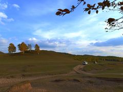 -乌兰布统景区-白桦林