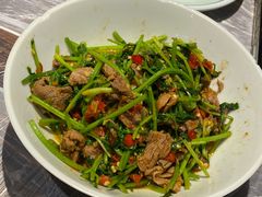 香菜炒牛肉-壹盏灯(惠农店)