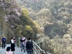 -少华山国家森林公园