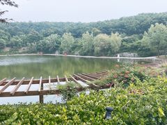 -大连北马山庄