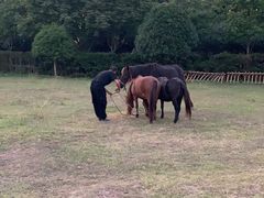 -合肥三国新城遗址公园