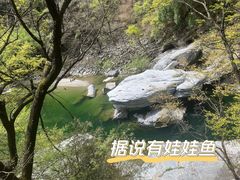 -黑河国家森林公园