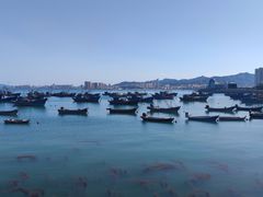 -海源公园