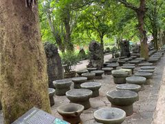 -海口火山口国家地质公园