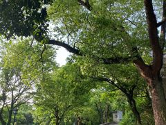 -九龙潭景区