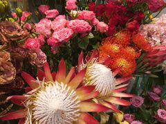 -BOBLOOM花店(宝龙旭辉广场店)