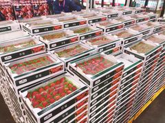 -山姆会员商店(杨桥西路店)
