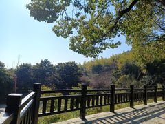 -九龙潭景区