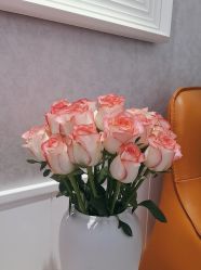 -YESIDO椰岛美容