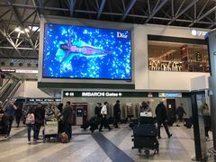 -米兰马尔彭萨国际机场