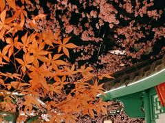 -荷塘秋月·本帮江浙菜(国权路店)