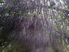 -同里国家湿地公园