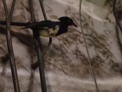 -杭州逸酒店(西湖武林店)