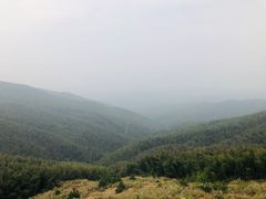 -蔡伦竹海