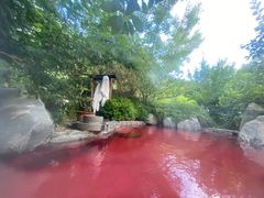 -麦积山温泉