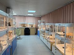 -翊宠yipet猫狗购宠庄园犬舍•猫舍