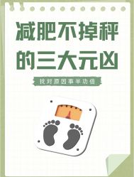 -Fundi张玉珊修身堂·indiba·BTL科技瘦身