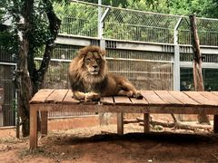 -昆明动物园