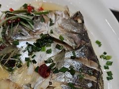 清蒸海鲈鱼-聚丰园•湖鲜餐厅(阿红私房菜梅石路店)