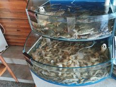 -蓝珊甄选海鲜自助·火锅大排档(近阿那亚店)
