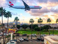 -In-N-Out Burger(LAX)