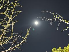 -中恒华茶楼(牌坊店)